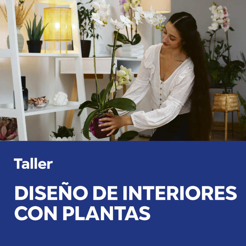 Abrir documento